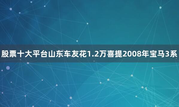 股票十大平台山东车友花1.2万喜提2008年宝马3系