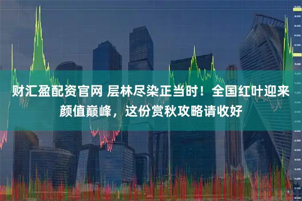 财汇盈配资官网 层林尽染正当时！全国红叶迎来颜值巅峰，这份赏秋攻略请收好