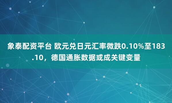 象泰配资平台 欧元兑日元汇率微跌0.10%至183.10，德国通胀数据或成关键变量