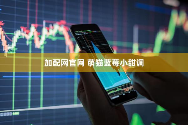 加配网官网 萌猫蓝莓小甜调